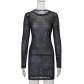 Mesh Print Basic Slim Fit Long Sleeve Dress Short Skirt Spring LR20145