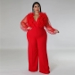 Sexy Deep V Solid Large Jumpsuit Perspective Long Sleeves CY100242