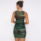 Mesh printed perspective dress L23DS078