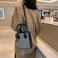 Crossbody Women's Bag Embossed Letter Handbag B713123911329